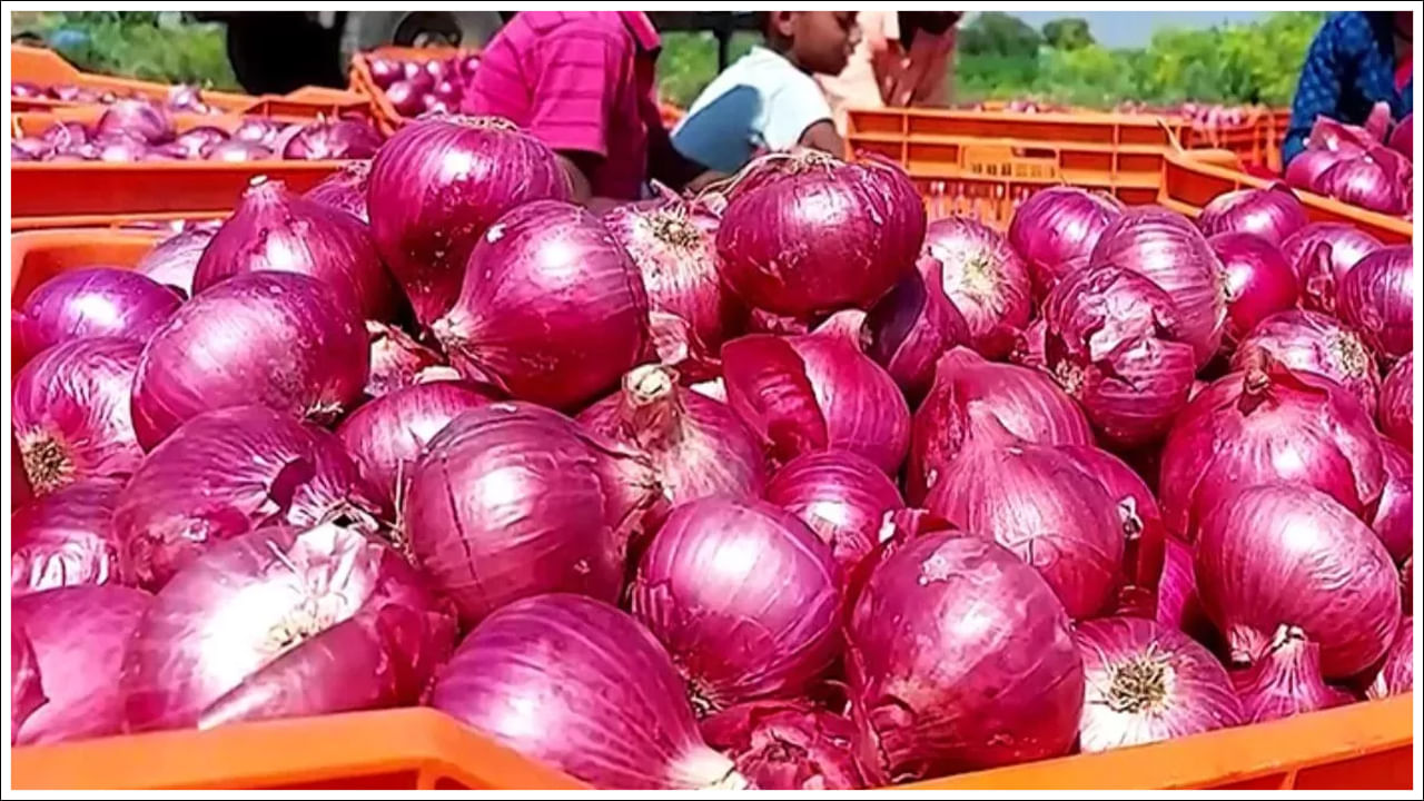 Onion Price: తగ్గుముఖం పడుతున్న వెల్లుల్లి.. పెరుగుతున్న ఉల్లిపాయ ధర..