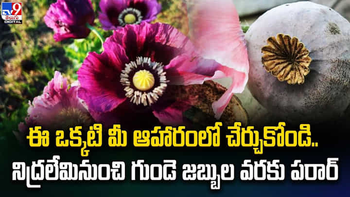 ఈ ఒక్కటి మీ ఆహారంలో చేర్చుకోండి.. నిద్రలేమినుంచి గుండె జబ్బుల వరకు పరార్ ఈ ఒక్కటి మీ ఆహారంలో చేర్చుకోండి.. నిద్రలేమినుంచి గుండె జబ్బుల వరకు పరార్