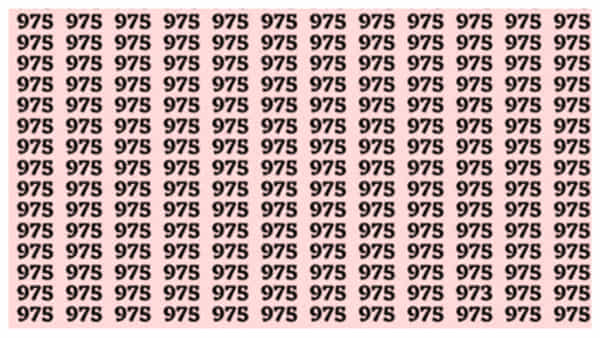 Optical Illusion: ఈ ఆప్టికల్ ఇల్యూషన్లో ఇరుక్కున్న 973 ఎక్కడుందో కనిపెట్టండి!