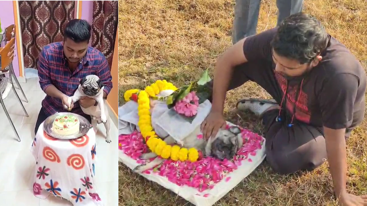 Watch Video: ఆ కుక్కకు అంతక్రియలు.. ఆపై పెద్ద కర్మ.. ప్రతి ఒక్కరికీ ఆహ్వానం..