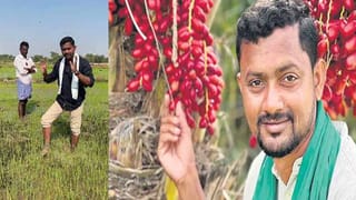 Watch: ఛీ..ఛీ.. కోడలు కాదు.. కాలకేయి.. మామను దారుణంగా కొట్టిన కోడలు.. వీడియో