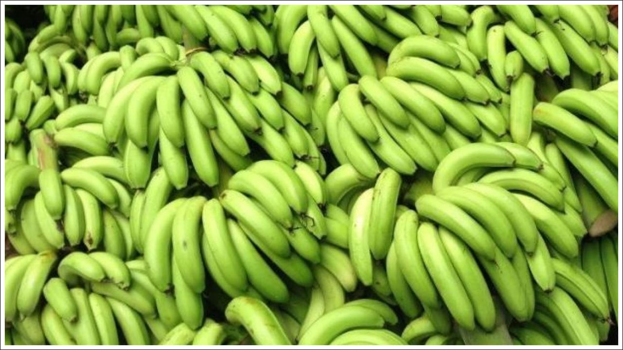 Raw Banana Benefits: పచ్చి అరటిపండ్లతో ఎలాంటి ప్రయోజనాలు తెలిస్తే షాకవుతారు!