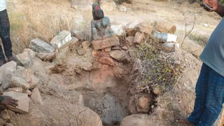 Andhra Pradesh: బీచ్‌లో సేద తీరేందుకు వచ్చిన సందర్శకులు.. ఏంట్రీ ఇచ్చిన భల్లూకం.. పరుగో పరుగు!