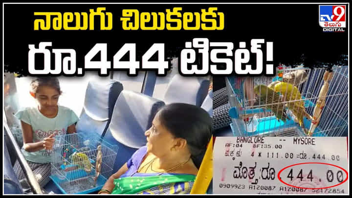 Bus Ticket for Parrots: నాలుగు చిలుకలకు రూ.444 టికెట్.! బెంగళూరు బస్సులో విచిత్ర ఘటన. Bus Ticket for Parrots: నాలుగు చిలుకలకు రూ.444 టికెట్.! బెంగళూరు బస్సులో విచిత్ర ఘటన.