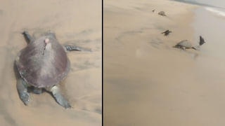 Andhra Pradesh: APPSC గ్రూప్‌-2లో నిబంధనల ఉల్లంఘన.. అధికారులకు ఫిర్యాదు! ఏం జరిగిందంటే..