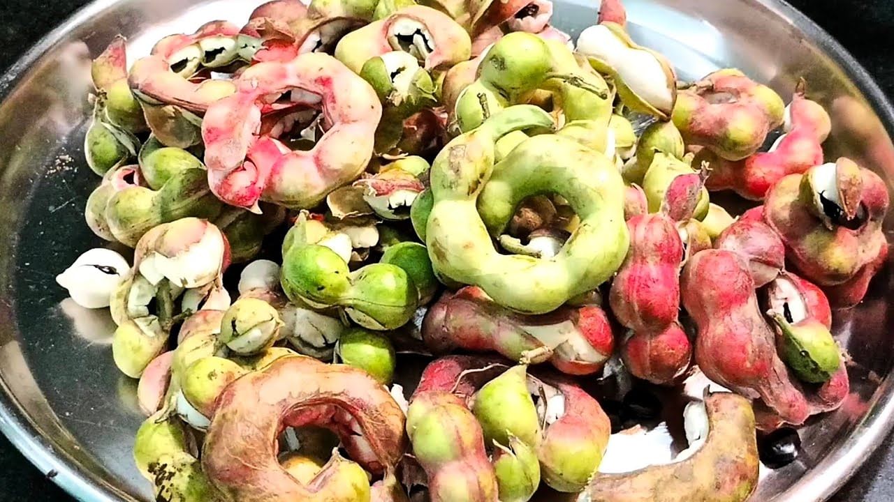 సీమ చింతకాయల్లో ఐరన్, మెగ్నీషియం, ఫైబర్, యాంటీ ఆక్సిడెంట్లు, విటమిన్లు ఎ, బి, సి వంటివి పుష్కలంగా లభ్యమవుతాయి. షుగర్, బీపీ ఉన్నవారు కూడా ఎలాంటి డౌట్స్ లేకుండా వీటిని నేరుగా తినొచ్చు.
