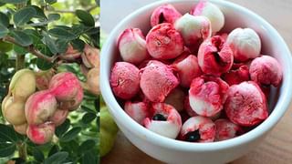 Lifestyle:  లైట్‌ వెలుతురులో ఎక్కువసేపు ఉంటున్నారా.? అయితే ప్రమాదమే