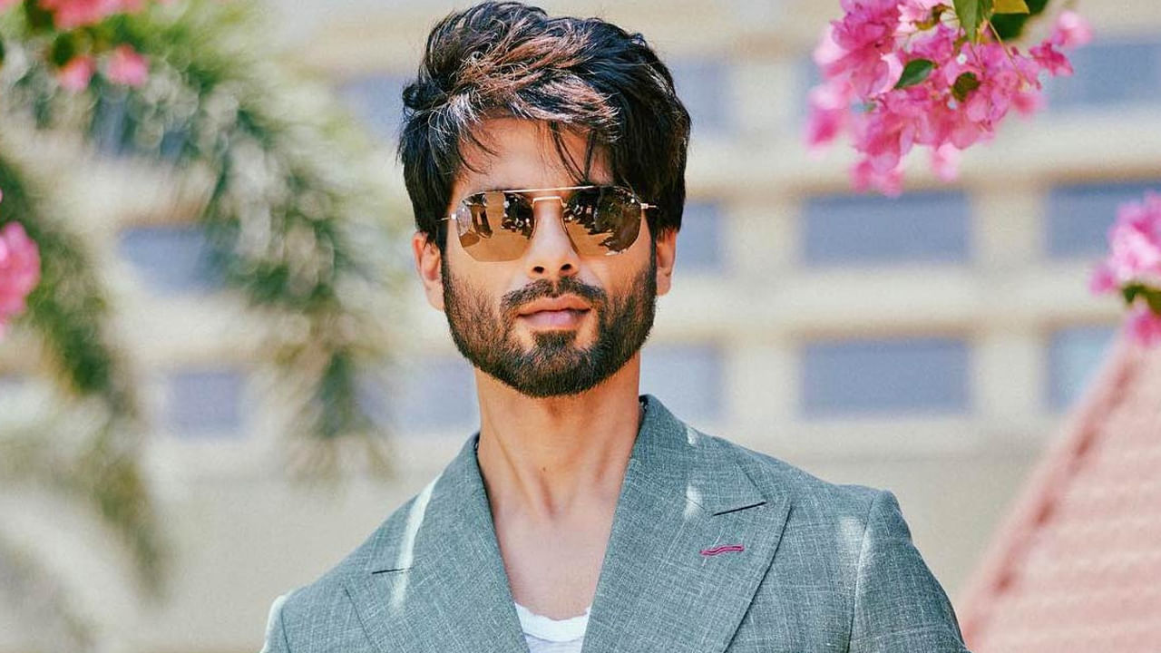 Shahid Kapoor: అప్పుడు అవమానిస్తే బాధపడ్డాను.. ఇకపై అస్సలు ఊరుకోను.. షాహిద్ కపూర్ సంచలన కామెంట్స్..