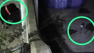 అంకుశం వర్సెస్‌ రంగస్థలం.. అటు టీడీపీ ఇన్‌చార్జ్.. ఇటు వైసీపీ ఎమ్మెల్యే.. కాకరేపుతోన్న ప్రొద్దుటూరు పాలిటిక్స్