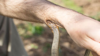 Andhra Pradesh: భర్త కోసం మహిళ పోరాటం.. ఏకంగా టెంట్ వేసి నిరసన దీక్ష