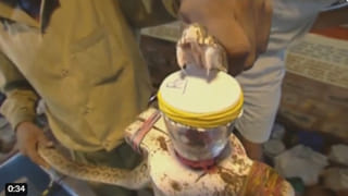 Viral Video: బాలీవుడ్ స్టార్ ను ఆంకుల్ అని పిలిచిన అనంత్ అంబానీ భార్య.. వీడియో వైరల్