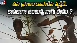 అద్భుత మహిమల పెట్టె.. రాత్రికి రాత్రే కోటీశ్వరులు అయిపోవచ్చట !!