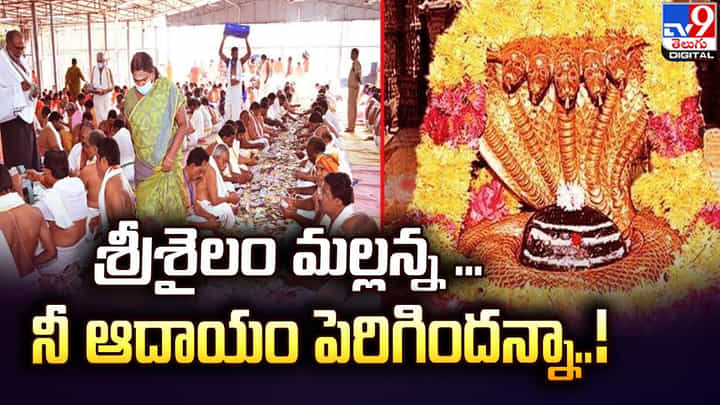 Srisailam: శ్రీశైలం మల్లన్న ..నీ ఆదాయం పెరిగిందన్నా Srisailam: శ్రీశైలం మల్లన్న ..నీ ఆదాయం పెరిగిందన్నా