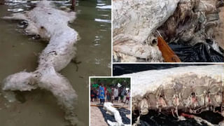 Fake Delivery: 22 వేల ఖరీదైన సెల్ ఫోన్ ఆర్డర్ చేస్తే రాళ్లు డెలివరీ.. సారీ అంటూ చేతులు దులిపేసుకున్న ఇ-కామర్స్ సంస్థ