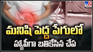 Nita Ambani: ముఖేష్‌ అంబానీని పెళ్లి చేసుకోడానికి నీత పెట్టిన కండిషన్‌ ఏంటో తెలుసా.?