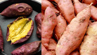 Vitamin K Benefits: ఈ విటమిన్ ఉన్న ఆహారాలు తింటే.. అనారోగ్య సమస్యలే దరి చేరవు!