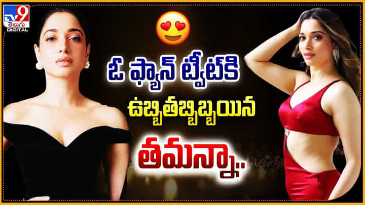Tamannaah Bhatia: ఓ ఫ్యాన్ ట్వీట్కి ఉబ్బితబ్బిబైన తమన్నా.. Tamannaah Bhatia: ఓ ఫ్యాన్ ట్వీట్కి ఉబ్బితబ్బిబైన తమన్నా..