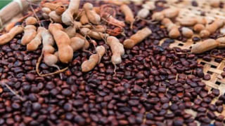 నాగకేసర పువ్వులతో ఆరోగ్యప్రయోజనాలు పుష్కలం..! ఇలా వాడితే అనేక సమ‌స్య‌ల‌కు దివ్యౌషధం..!!