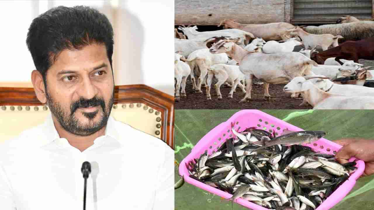 Revanth Reddy: ఆ పథకాలపై సమగ్ర విచారణ జరపండి.. సీఎం రేవంత్ రెడ్డి కీలక ఆదేశాలు..