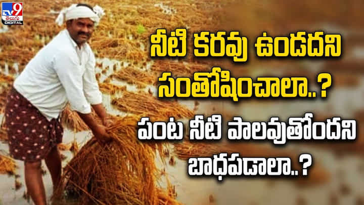 నీటి కరవు ఉండదని సంతోషించాలా ?? పంట నీటి పాలవుతోందని బాధపడాలా ?? నీటి కరవు ఉండదని సంతోషించాలా ?? పంట నీటి పాలవుతోందని బాధపడాలా ??