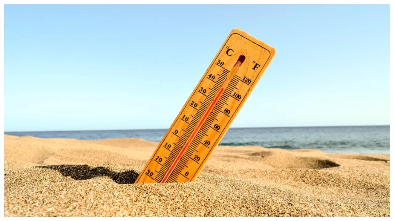 వడ దెబ్బ తగలకుండా ఉండాలంటే.. యాపిల్ సైడర్ వెనిగర్ను మీ డైట్లో చేర్చుకోవడం ముఖ్యం. ఇందులో చాలా రకాల పోషకాలు ఉన్నాయి. ఇవి వేసవి తాపం నుంచి మిమ్మల్ని బయట పడేస్తుంది. అదే విధంగా కొబ్బరి నీటిని తప్పకుండా తీసుకోండి.