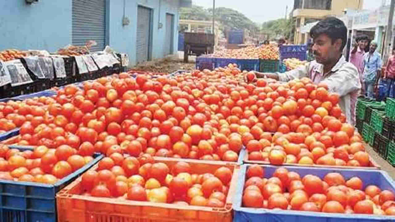 Tomato Prices: పెరుగుతున్న టమాట ధరలు.. ఒక్కసారిగా ధరలు డబుల్, ఎందుకంటే