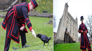 Zoo: ప్రపంచంలో ప్రమాదకరమైన జూ.. స్వేచ్ఛగా వన్య ప్రాణులు.. బోనులో బంధించి సందర్శకులు