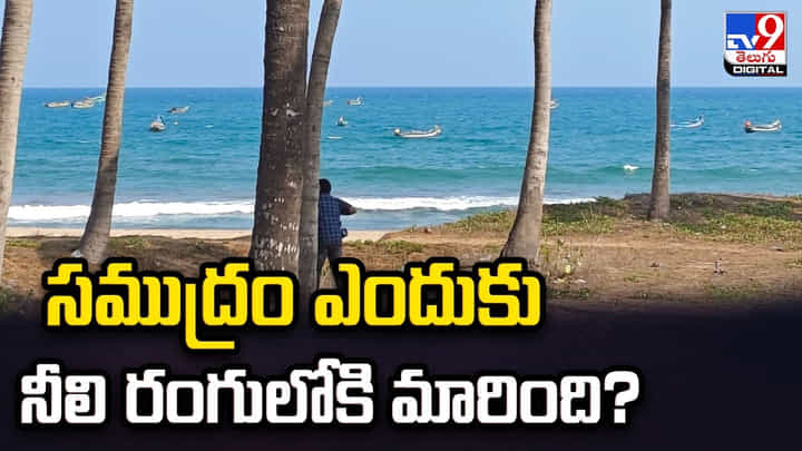 సముద్రం ఎందుకు.. నీలి రంగులోకి మారింది ?? సముద్రం ఎందుకు.. నీలి రంగులోకి మారింది ??