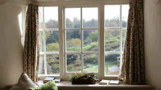 Punganur Cow: ‘బంగారు’ పాలను ఇస్తున్న బుజ్జి ఆవులు..  చూసేందుకు జనం క్యూ