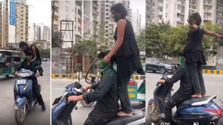 Watch Video: సినిమా సీన్‌ కాదు గురూ.. రియల్‌ స్టంట్‌..! పెద్దపులి లాంగ్‌ జంప్‌ చూస్తే గుండె జారి గల్లంతే..