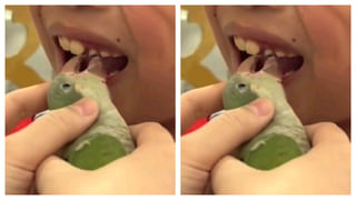 Watch Video: ఈతరం ఇల్లాలు..! ఇది సీరియల్‌ కాదండోయ్‌.. స్మార్ట్‌ వర్క్‌తో అదరగొడుతున్న నేటి కోడలు..