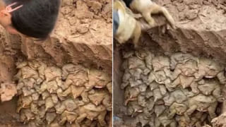 Optical illusion: ఈ యువతి గాల్లో ఎలా తేలుతోందబ్బా.? అసలు విషయం తెలిస్తే థ్రిల్‌ అవుతారు..