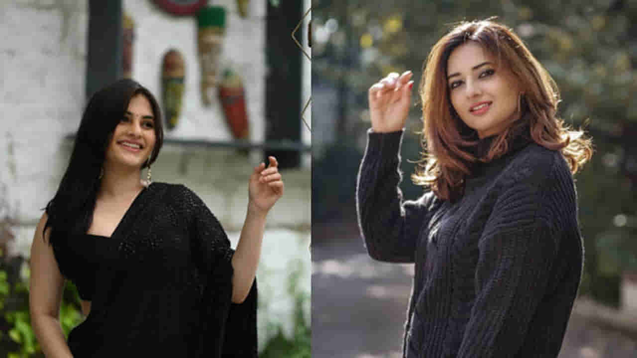 Chiranjeevi: ఆసక్తిరేపుతున్న విశ్వంభర.. చిరంజీవి మూవీలో మరో ఇద్దరు హీరోయిన్స్!