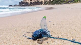 మార్చి నెలలోనే కూలర్లు, ఏసీలకు పని తప్పదు.. తెలుగు రాష్ట్రాలపై సమ్మర్‌ ఎఫెక్ట్‌..! వాతావరణ శాఖ ఏం చెప్పిందంటే..?