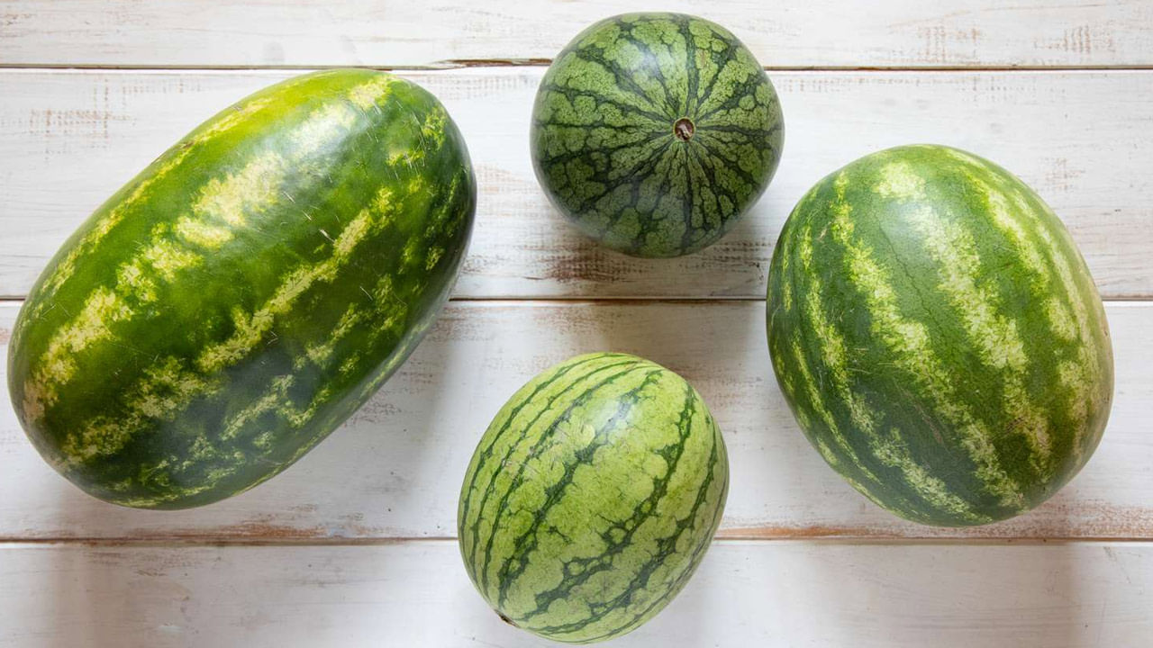 Watermelon: పుచ్చకాయ పండిదో లేదో.. కోయకుండానే ఎలా తెలుసుకోవాలి.?