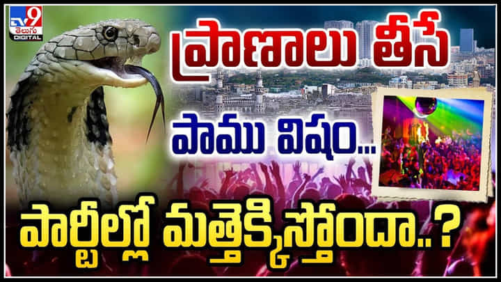 Snake Venom Addiction: ప్రాణాలు తీసే పాము విషం.. పార్టీల్లో మత్తెక్కిస్తోందా..? Snake Venom Addiction: ప్రాణాలు తీసే పాము విషం.. పార్టీల్లో మత్తెక్కిస్తోందా..?