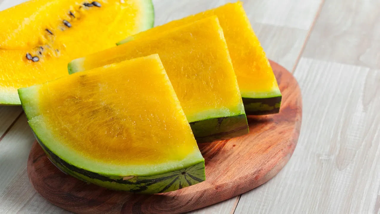 ఈ కొత్త రకం పుచ్చకాయలను సాగు చేయడం వల్ల స్థానిక రైతుల ఆర్థిక స్వావలంబన పొందుతున్నారు. పసుపు పుచ్చకాయలో విటమిన్-బి, విటమిన్-ఎ, సి, ఐరన్, మెగ్నీషియం, ఫాస్పరస్, బీటా-కెరోటిన్ వంటి అనేక పోషకాలు ఉంటాయి. వేసవిలో శరీరాన్ని హైడ్రేట్ గా ఉంచడంలో ఇది ప్రత్యేక పాత్ర పోషిస్తుంది.