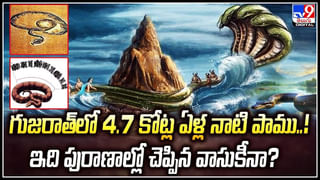 24 గంటల్లో 80కి పైగా భూకంపాలు.. తూర్పు తీరంలో 6.3 తీవ్రతతో ప్రకంపనలు