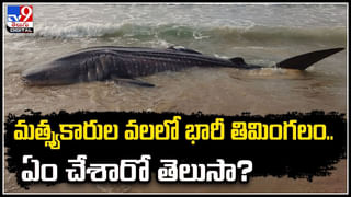 Gold Seizure: భారీగా పట్టుబడుతున్న బంగారం, వెండి.! ఎన్నికల నేపథ్యంలో రూల్స్ బ్రేక్.