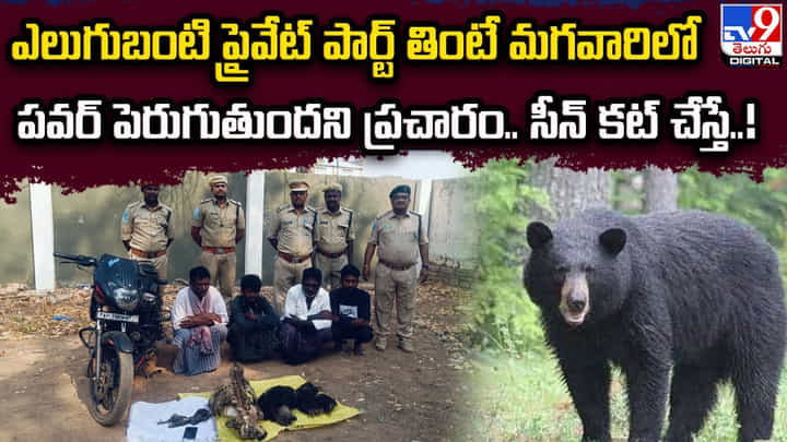 ఎలుగుబంటి ప్రైవేట్ పార్ట్ తింటే మగవారిలో పవర్ పెరుగుతుందని ప్రచారం.. సీన్ కట్ చేస్తే ఎలుగుబంటి ప్రైవేట్ పార్ట్ తింటే మగవారిలో పవర్ పెరుగుతుందని ప్రచారం.. సీన్ కట్ చేస్తే