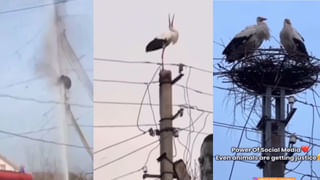 Bus Rush: వరస సెలవులతో బస్సుల్లో రద్దీ.. నిలబడే చోటు లేక పిల్లాడిని లగేజీ క్యారియర్‌లో పెట్టిన స్త్రీ..