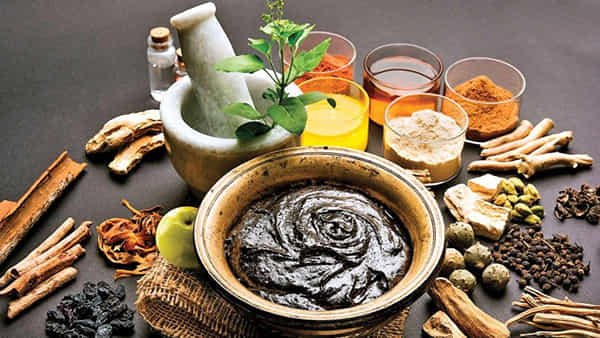 Diabetes: బ్లడ్ షుగర్ని నియంత్రించే అద్భుత ఆయుర్వేద మూలికలు..! వీటిని తింటే మధుమేహం మీ కంట్రోల్ల్లోనే..?
