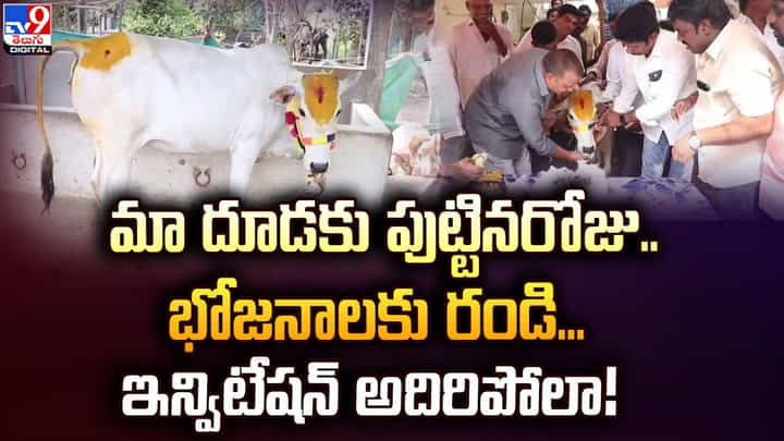 మా దూడకు పుట్టినరోజు.. భోజనాలకు రండి... ఇన్విటేషన్ అదిరిపోలా మా దూడకు పుట్టినరోజు.. భోజనాలకు రండి... ఇన్విటేషన్ అదిరిపోలా