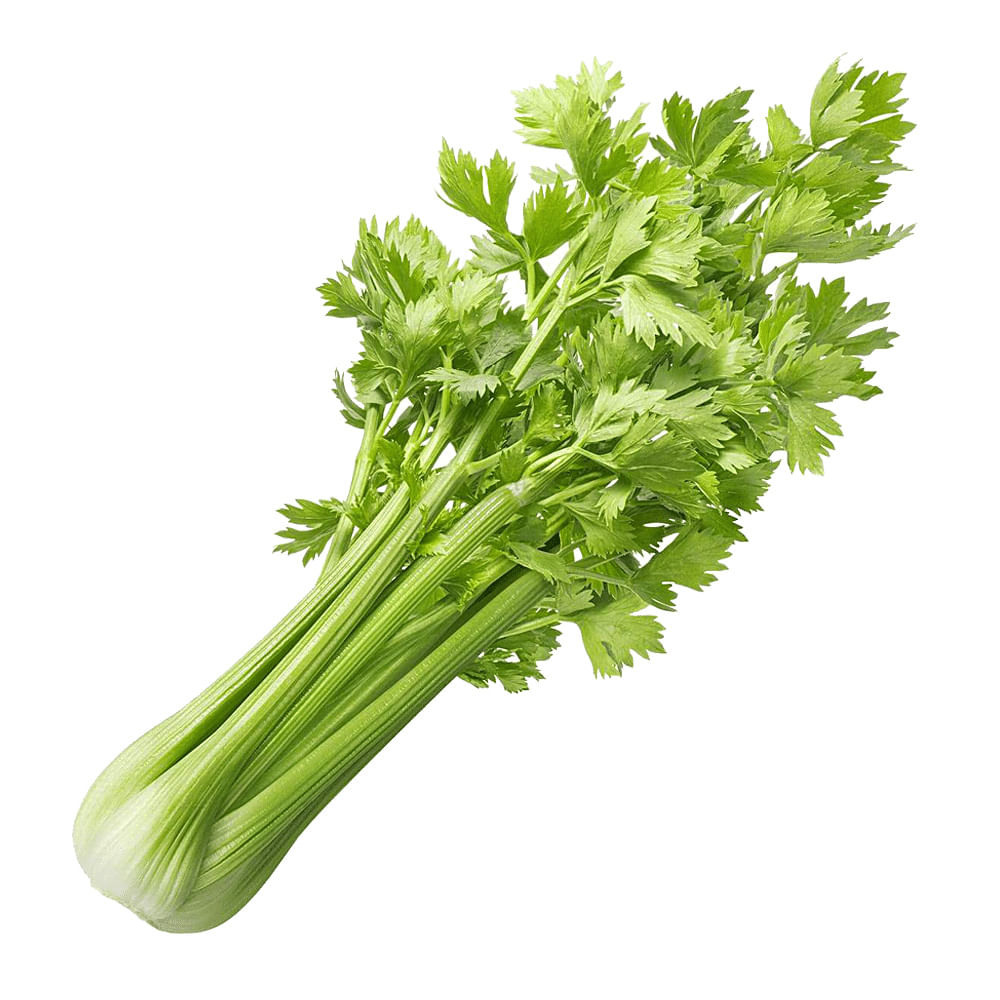 Celery (5)