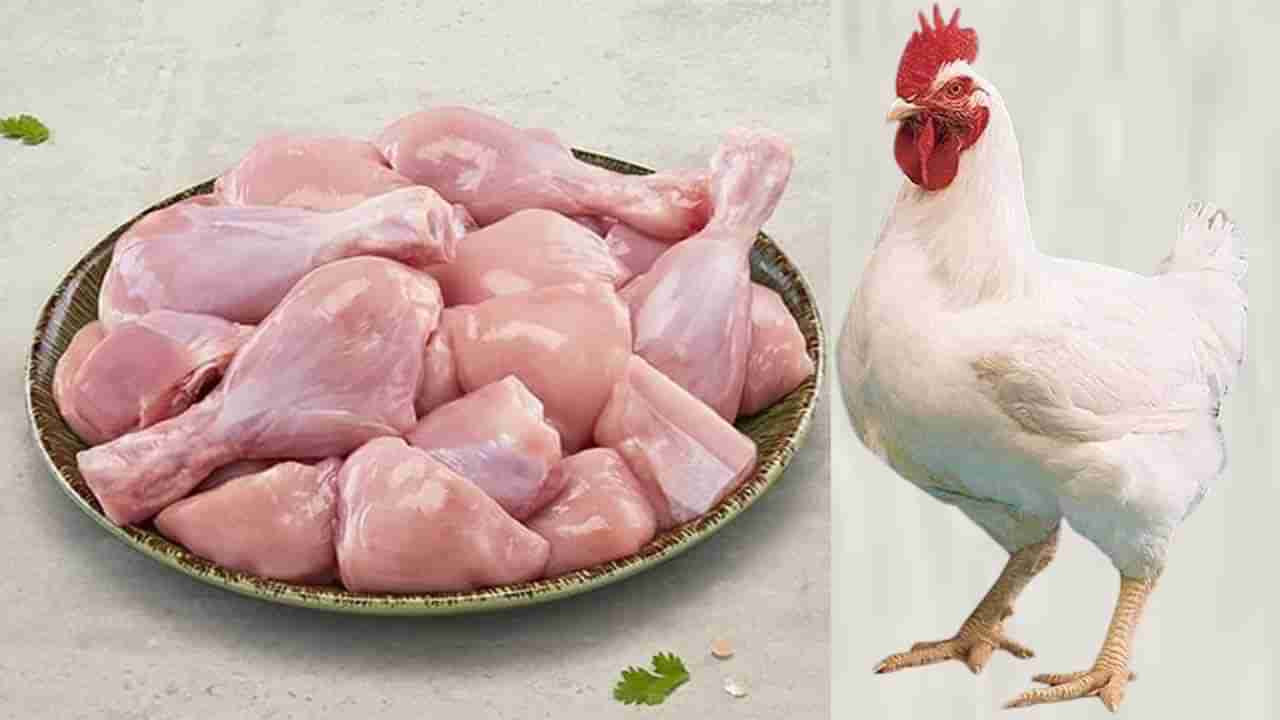 Chicken Price: మాంసం ప్రియులకు బ్యాడ్ న్యూస్.. భారీగా పెరిగిన చికెన్ ధరలు.. ట్రిపుల్ సెంచరీ దాటి..