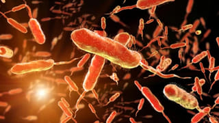 Food: పండ్లపై ఉప్పు చల్లుకొని తింటున్నారా.? నిపుణులు ఏమంటున్నారంటే..