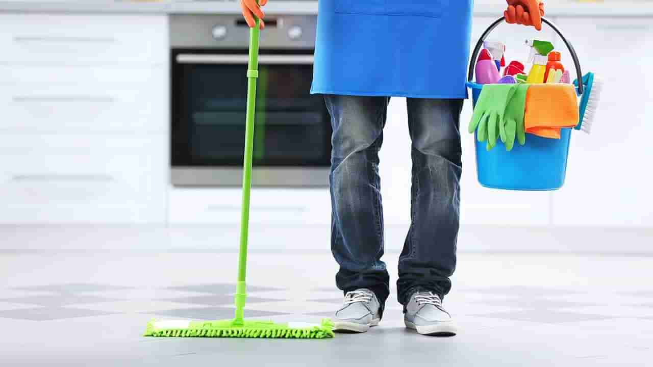 Cleaning Tips: నీటిలో వీటిని వేసి ఇల్లు క్లీన్ చేశారంటే.. కీటకాలు రానే రావు..