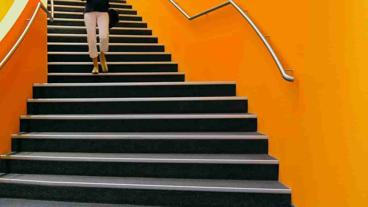 Climb Stairs: ప్రతిరోజూ మెట్లు ఎక్కండి.. మీ ఆరోగ్యాన్ని కాపాడుకోండి..