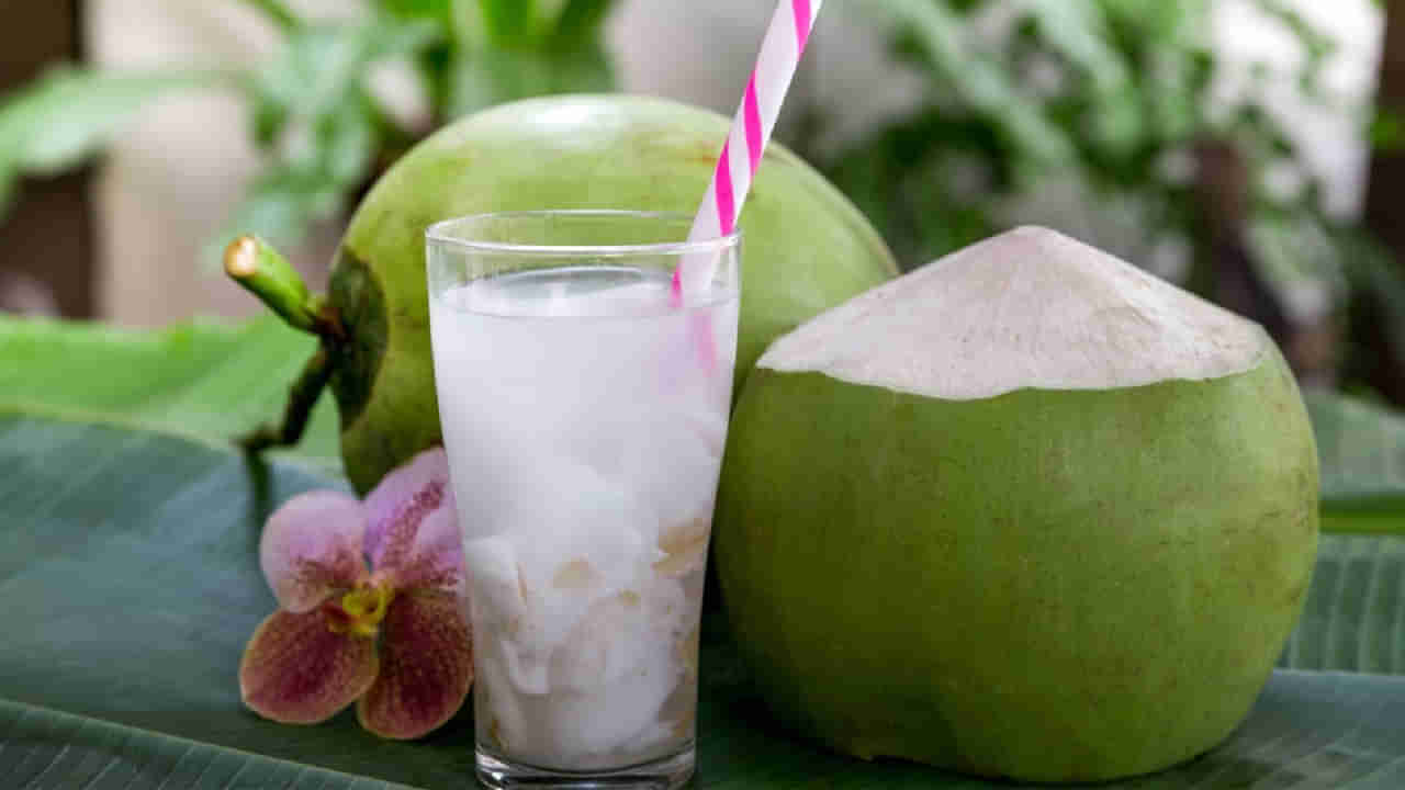 Coconut Water: వేసవి దాహార్తిని తీర్చే కొబ్బరి నీరు.. ఈ సమస్యలున్నవారు తాగితే ప్రమాదం కొని తెచ్చుకున్నట్లే..