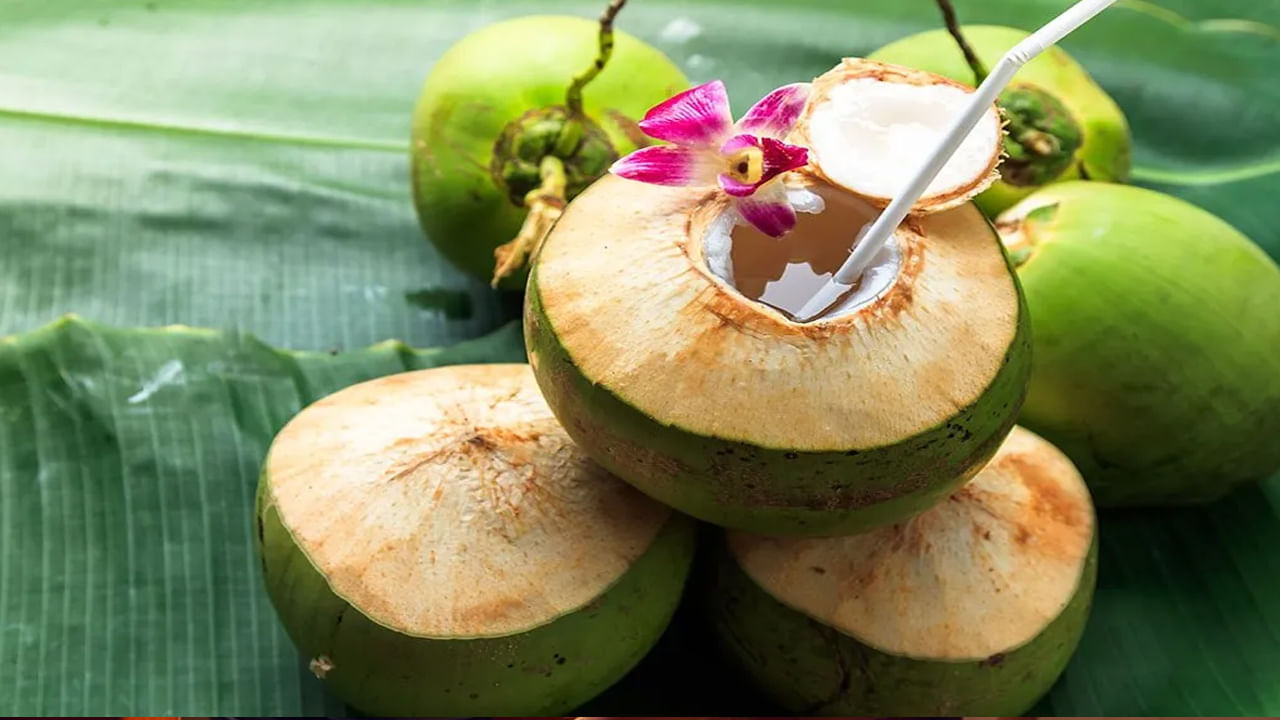 Coconut Water: వేసవిలో కొబ్బరి నీళ్లు దాహార్తిని తీర్చడంతోపాటు.. ఈ సమస్యలకు విరుగుడు కూడా!